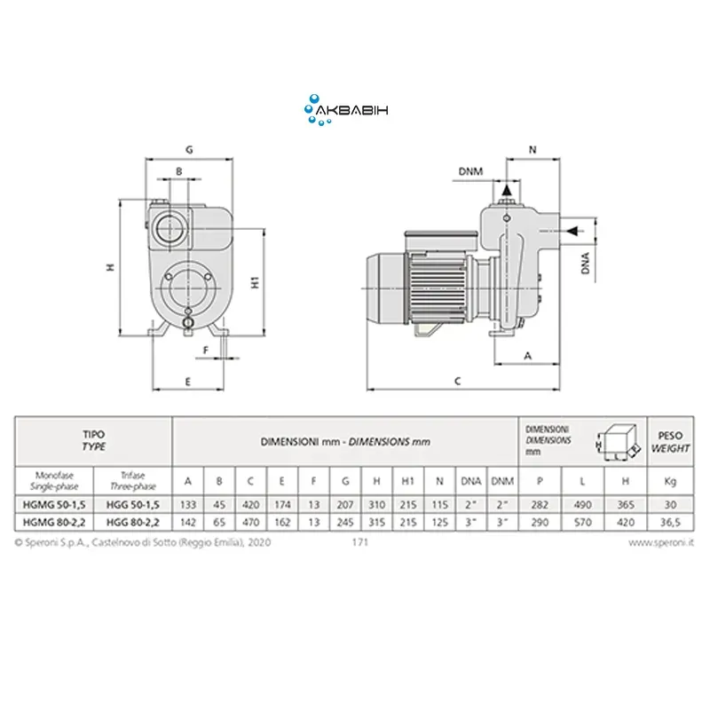 Насос відцентровий Speroni HGMG 50-1,5 (1,5 кВт) для злегка забрудненої води - Фото 3
