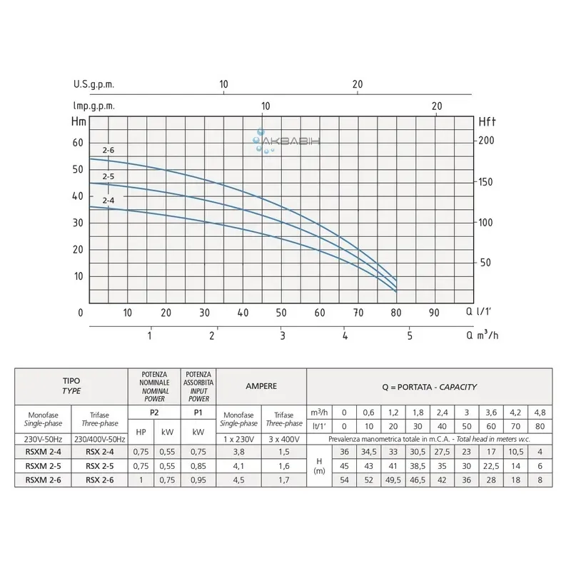 Насос багатоступеневий Speroni RSXM 2-4 (0,55 кВт) - Фото 2
