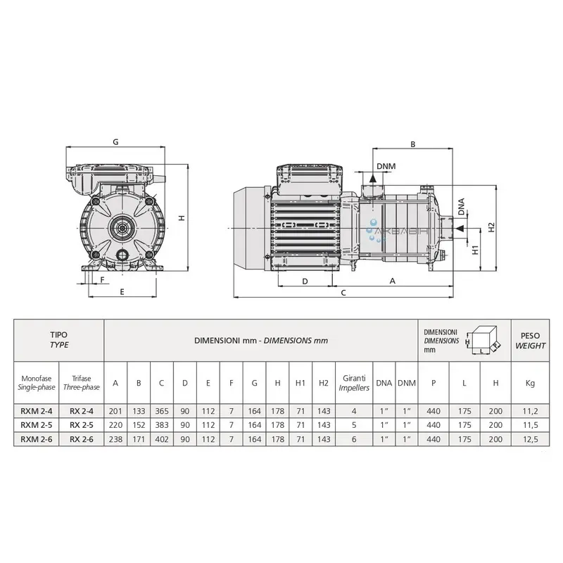 Насос многоступенчатый Speroni RX 2-4 (0,55 кВт) 3Ф - Фото 3