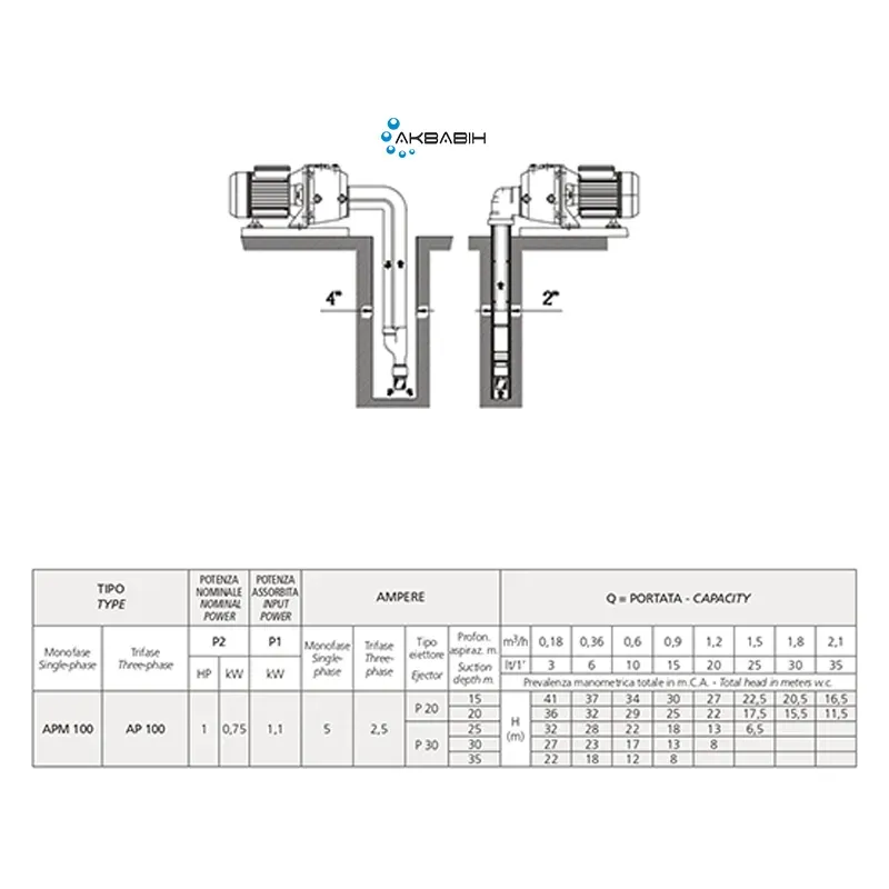 Насос відцентровий Speroni APM 100 (0,75 кВт ) з виносним ежектором - Фото 2