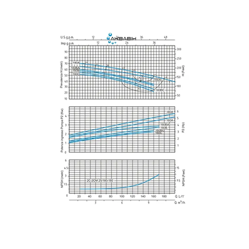 Насос двоступеневий відцентровий Speroni 2C 25/160А (2,2 кВт) 3Ф - Фото 2