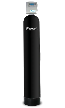 Фільтр для видалення сірководню Ecosoft FPC 1252 CT